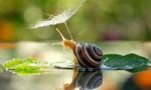 42 bí quyết sống khỏe ai cũng tâm đắc: Đọc một lần, ứng dụng cả đời!