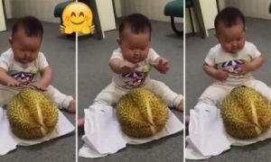 Lần đầu thấy sầu riêng, bé con biểu cảm siêu bối rối: ‘Mình có nên chạm vào...