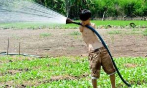 Nếu như trong lòng mệt mỏi, hãy thử nhìn đời từ hướng khác…