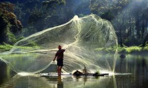 Trong cuộc đời, không phải cứ toan tính là có được