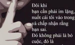 Đôi khi bạn cần phải im lặng, nuốt cái tôi vào trong và chấp nhận rằng bạn...