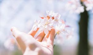 Tâm phải biết buông bỏ thì đời mới nở hoa, lòng không còn nặng nề...