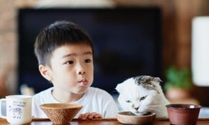 Sai lầm của các bậc cha mẹ khi giao trọn trách nhiệm giáo dục con cái cho...