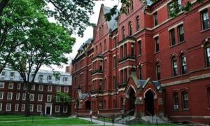 “Harvard là nơi người ta đeo lên mình những khuôn mặt giả tạo chính đáng”