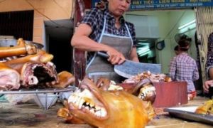 Báo Đức viết về 'văn hóa ăn thịt chó' ở Việt Nam