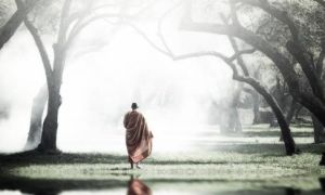 Bậc Thánh nhân cầu tâm chứ không cầu Phật, kẻ u mê chỉ cầu Phật mà chẳng cầu tâm
