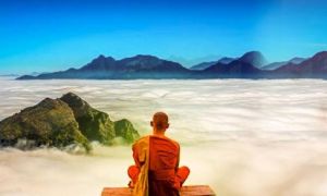 Sống trên đời, chỉ cần bản thân cố gắng hết sức, việc còn lại cứ để trời xanh...