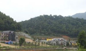 Thủ phạm “xẻ thịt” rừng Sóc Sơn đang được bưng bít