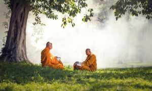 Đời người hỗn loạn rốt cuộc cũng chỉ vì mê mải tranh giành