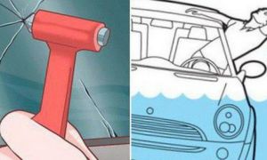 Bí kíp thoát khỏi ô tô khi chìm dưới nước – học ngay vì trên đời này chuyện gì...