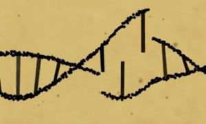 Thế giới quan ngại về chỉnh sửa gene em bé ở Trung Quốc