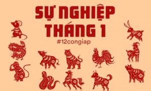 Dự đoán chi tiết sự nghiệp của 12 con giáp trong tháng đầu năm 2019: Nhiều cơ...