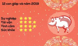 Chuyên gia phong thủy dự đoán tài vận năm 2019