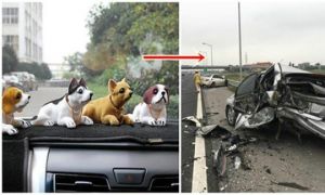 5 vật gây họa chớ dại gì mà đặt trên ô tô