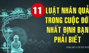 11 quy tắc nhân quả chi phối vận mệnh con người, hiểu thấu ắt sẽ được bình an