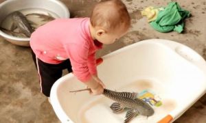 “Cháu nó còn nhỏ, biết gì đâu”: Câu nói dậy sóng mạng xã hội Việt, ai cũng...