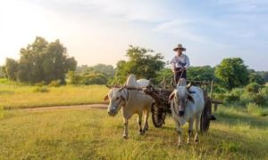 “Bình tĩnh đi… con sẽ sống lâu hơn đấy”