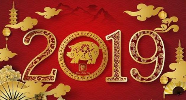 15 câu chúc năm mới 2019 - Xuân Kỷ Hợi hay và hài hước nhất