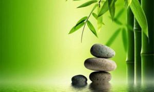 Bài học từ cây tre và câu chuyện giúp trẻ nghe một lần, lợi cả đời bố mẹ nào...