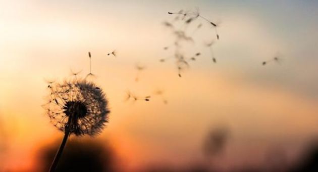Giữ trong lòng lời không đáng nói thì tránh được sai lầm. Đừng nói 4 lời này