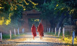 Khoan dung với người khác chính là để lại cho mình một lối thoát, một đường lùi