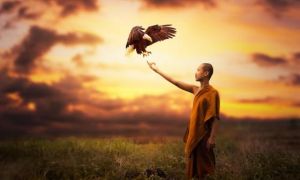 Muốn gặp may mắn trong đời, không cần đi tìm thầy phong thủy giỏi