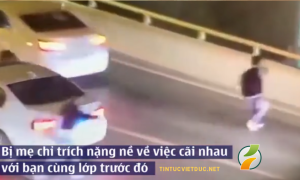 Bị mẹ chỉ trích vì cãi nhau với bạn, nam sinh lao khỏi xe nhảy cầu tự tử