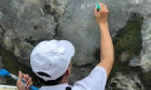 Thói quen 'lưu danh' của những người Việt nổi tiếng xấu xí