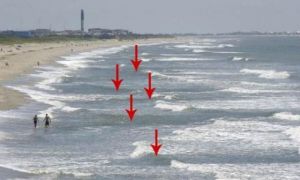 Kinh nghiệm hay: Nhiều người đã chết đuối vì nhìn thấy dấu hiệu này mà không...
