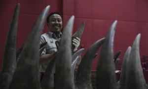 Báo nước ngoài: Người Việt mua sừng tê giác để 'khoe khoang sự giàu có'