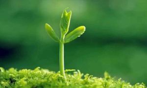 Làm người: Thắng ở tầm nhìn, thua ở tính toán; làm việc: Thắng ở nhân cách,...