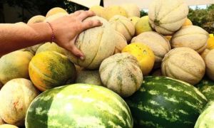 9 loại thực phẩm nên ăn trước khi uống bia rượu
