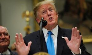 Tổng thống Trump: “Tôi là một thiên tài cực kỳ ổn định”