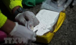 Châu Âu đau đầu trước tình trạng buôn bán ma túy 'sôi động'