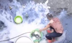 YouTuber đổ 200 quả trứng lên đầu mẹ để ăn mừng đạt 20.000 theo dõi