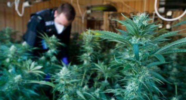 Tội phạm gốc Việt lợi dụng lỗ hổng luật Anh, vào trại trẻ rồi bỏ trốn