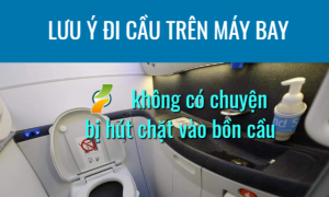 Đi cầu trên máy bay: Không có chuyện  bị hút chặt vào bồn cầu