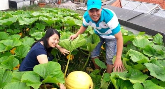 Thiên đường trên nóc nhà của anh đầu bếp Việt ở Đức khiến ai cũng ngưỡng mộ