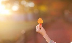 Điều quan trọng không phải bạn là ai, sinh ra ở đâu mà là sống như thế nào