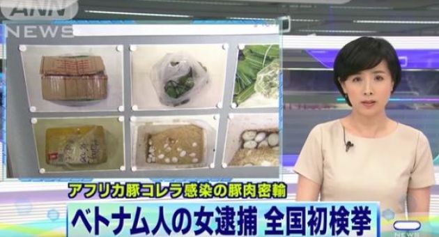 Nữ du học sinh Việt bị bắt vì mang 360 quả trứng vịt lộn và 10kg nem chua vào...