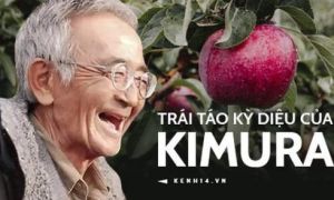 Kiên trì suốt 10 năm, người đàn ông từng bị coi là ngốc nghếch, cố chấp đã tạo...