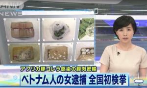 Khuyến cáo không mang thực phẩm tươi khi du lịch sang Nhật Bản