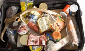 Những thực phẩm không được mang theo khi du lịch nước ngoài