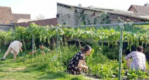 Gia đình Việt làm ‘vườn – ao – chuồng ‘ tại Đức