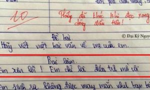 Bài văn tả mẹ ngắn gọn nhưng sâu sắc khiến thầy giáo lẫn người đọc không kìm...
