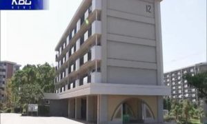 Thực tập sinh Việt sát hại đồng hương ở Nhật Bản