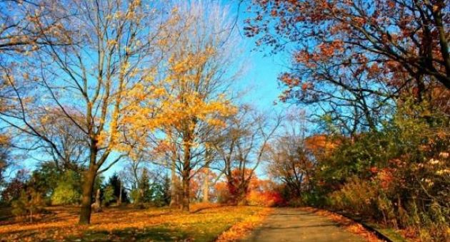 Du lịch Canada mùa thu - say lòng vẻ đẹp xứ sở lá phong