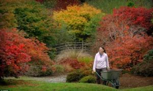 Mùa thu thiên đường ở nước Anh