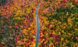 7 con đường mùa thu như chỉ có trong cổ tích