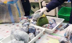 Mức phạt khách Việt cần lưu ý khi mang thịt ra nước ngoài